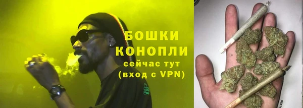гидропоника Нязепетровск