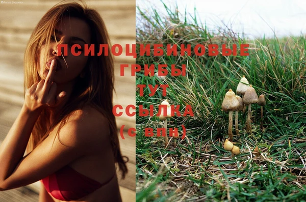 прущий лед Няндома
