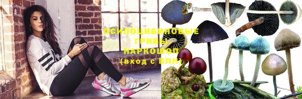 прущий лед Няндома