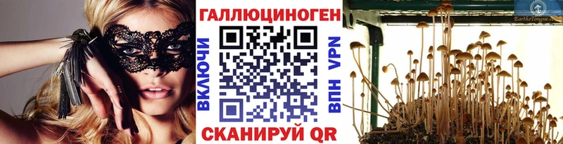 где можно купить наркотик Чкаловск Галлюциногенные грибы прущие грибы